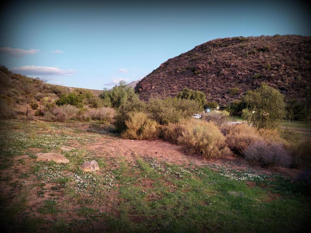 Lylius Cottage And Campsites Clanwilliam Exteriér fotografie